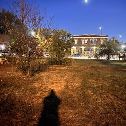 Frenchtown Dog Park
